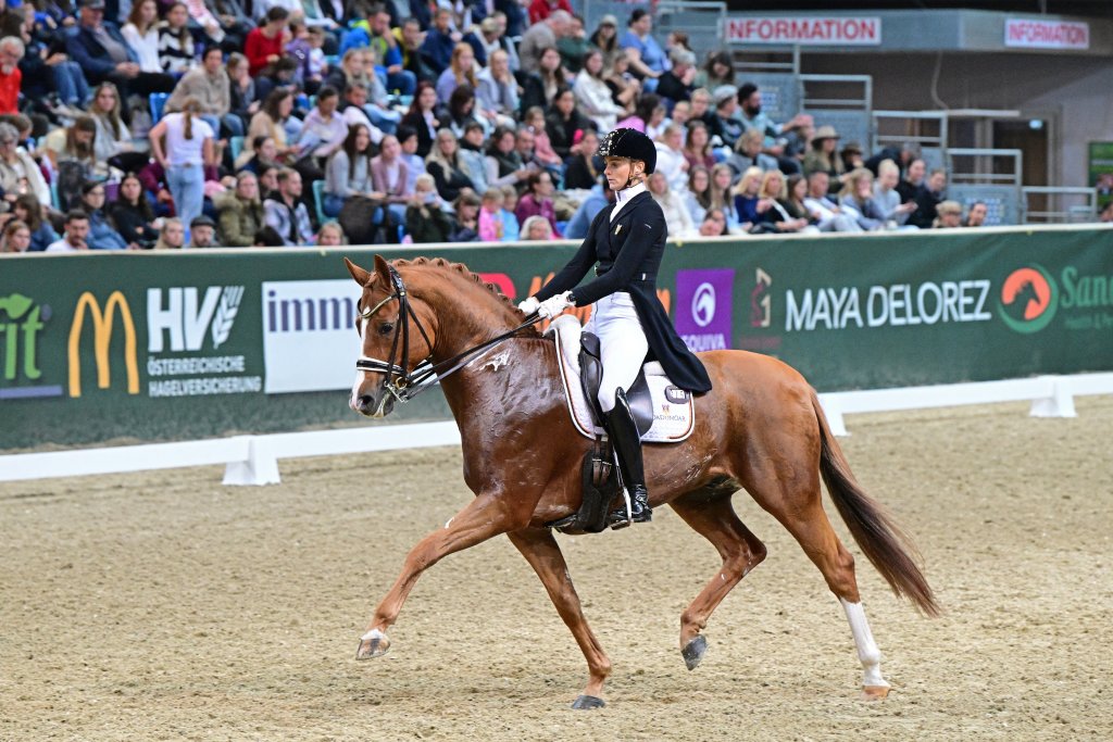 Bettina Kendlbacher und Broadmoars Don Alfredo AWÖ. © horsicphotography