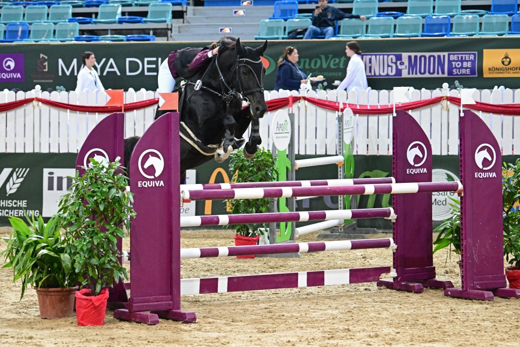 Lara Zwickl auf Die Weintanz. © horsicphotography