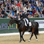 Grand Prix-Sieg bei der Apropos Pferd für Jessica von Bredow-Werndl. © horsicphotography