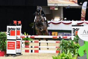 Katharina Rhomberg und Armstrong. © horsicphotography